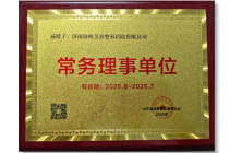 山东省民营整形协会常务理事单位