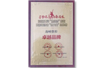 海峡整形“她经济”卓越品牌