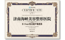 H-Four铂金超声炮机构